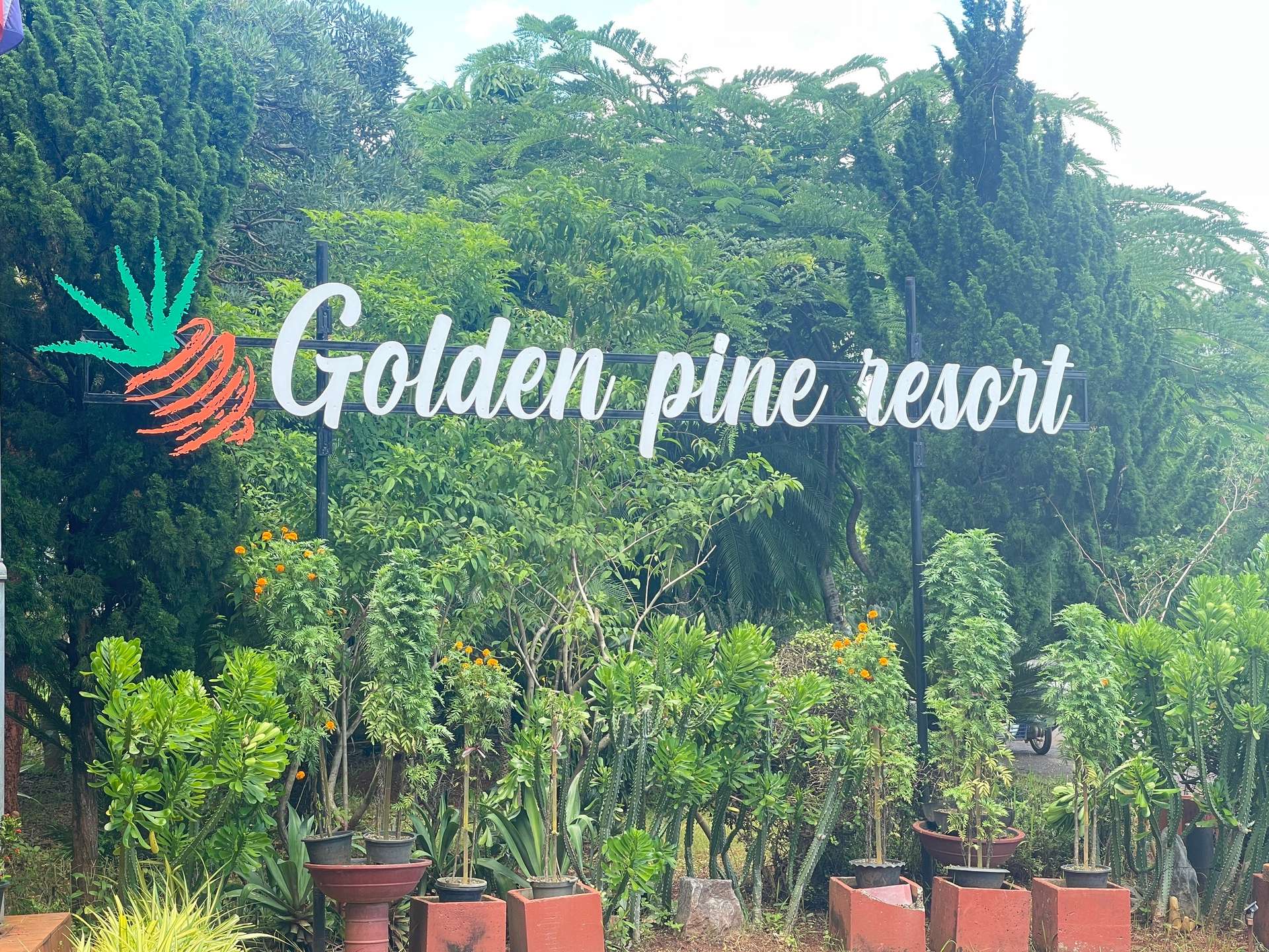 Golden Pine signage